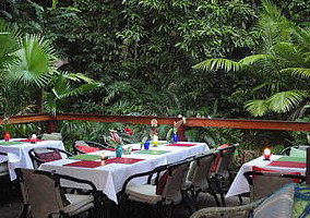 Daintree Rainforest Retreat Motel - Accommodation Kalgoorlie 1