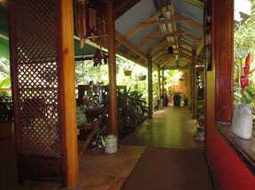 Daintree Rainforest Retreat Motel - Accommodation Kalgoorlie 2
