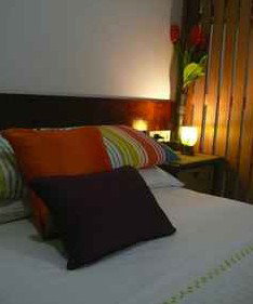 Daintree Rainforest Retreat Motel - Accommodation Kalgoorlie 3