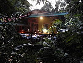 Daintree Rainforest Retreat Motel - Accommodation Kalgoorlie 4