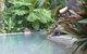 Daintree Rainforest Retreat Motel - thumb 5