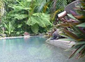 Daintree Rainforest Retreat Motel - Accommodation Kalgoorlie 5