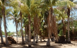 King Sound Resort Hotel - Accommodation Kalgoorlie
