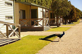 Other - Accommodation Kalgoorlie 3