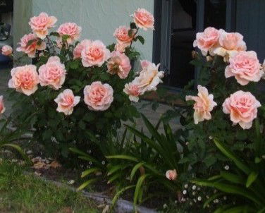 Lot 7 Cottage - Accommodation Kalgoorlie 5