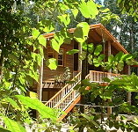 Rivers Edge Rainforest Retreat - Accommodation Kalgoorlie