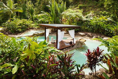 Misty Mountains Tropical Rainforest Romantic Retreat - Accommodation Kalgoorlie 3