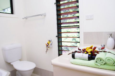 Misty Mountains Tropical Rainforest Romantic Retreat - Accommodation Kalgoorlie 5