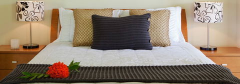 Misty Mountains Tropical Rainforest Romantic Retreat - Accommodation Kalgoorlie 7