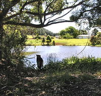 Newry Park Cottage - Accommodation Kalgoorlie