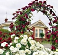 Golden Embers Apartments and B and B - Accommodation Kalgoorlie