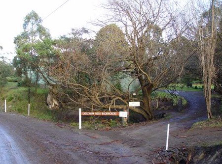 Eaglehawk Neck Backpackers - Accommodation Kalgoorlie 1