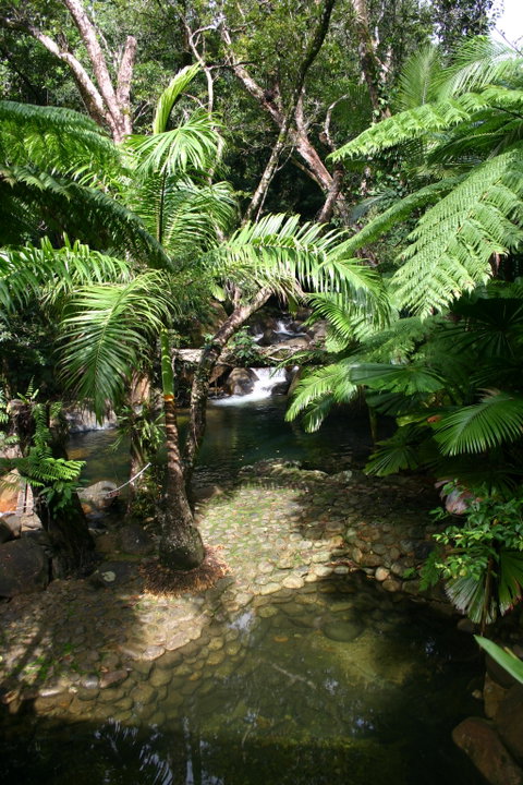 Daintree Secrets (Award Winning Retreat) - Accommodation Kalgoorlie 4
