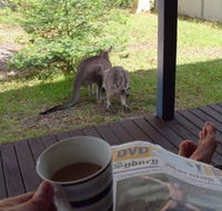 Bush and Bay Cottage - Accommodation Kalgoorlie