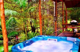 A Waterfall Hideout-Rainforest Cabin For Couples - Accommodation Kalgoorlie 5