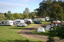 Dawson River Tourist Park - Accommodation Kalgoorlie 1