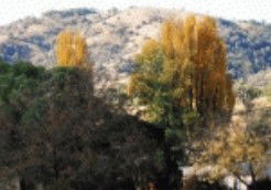 Nundle NSW Accommodation Kalgoorlie