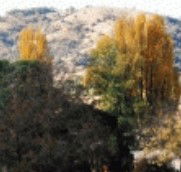 Birches Bed and Breakfast at Nundle - Accommodation Kalgoorlie