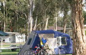 BIG4 Lake Macquarie - Monterey Tourist Park - Accommodation Kalgoorlie 5