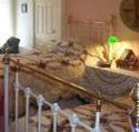 A Winter-Rose Cottage Bed and Breakfast - Accommodation Kalgoorlie