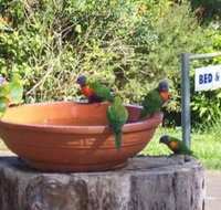 Lamb Island Bed and Breakfast - Accommodation Kalgoorlie