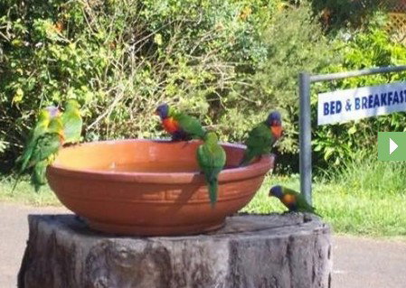 Lamb Island Bed And Breakfast - Accommodation Kalgoorlie 0