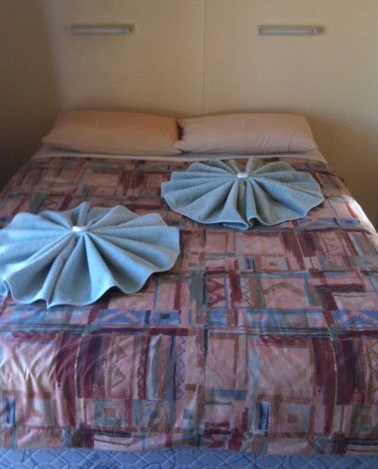 Wauchope Hotel - Accommodation Kalgoorlie 4