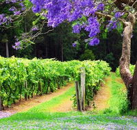 Bago Vineyards - Accommodation Kalgoorlie