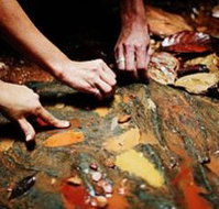 Daintree Eco Lodge And Spa - Accommodation Kalgoorlie