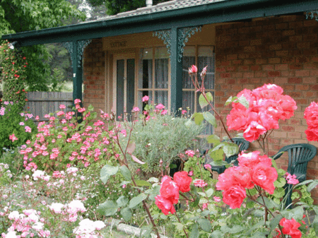 Balnarring Village Motor Inn - Accommodation Kalgoorlie 5