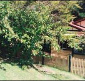 Apple Tree Cottage - Accommodation Kalgoorlie