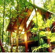 The Canopy Treehouses - Accommodation Kalgoorlie