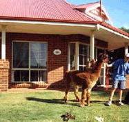 Brilea Cottages - Accommodation Kalgoorlie