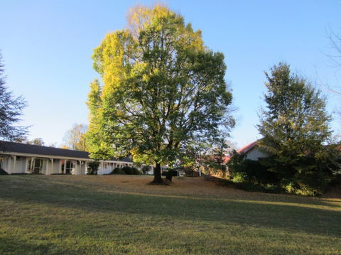 Moore Park Inn - Accommodation Kalgoorlie 0