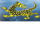 Dragon Phoenix Motel amp Restuarant - Accommodation Kalgoorlie