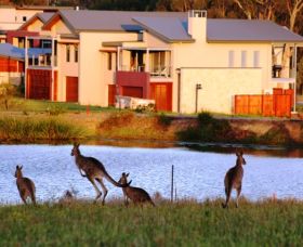 Grand Mercure The Vintage Hunter Valley - Accommodation Kalgoorlie 0