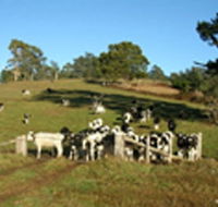 St Columba Cottage - Accommodation Kalgoorlie