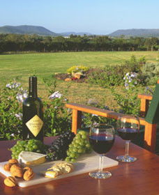 Tranquil Vale Vineyard Cottages - Accommodation Kalgoorlie 0
