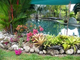 Daintree Wild Bed And Breakfast - Accommodation Kalgoorlie 0