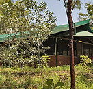 Arnhemland Barramundi Nature Lodge - Accommodation Kalgoorlie