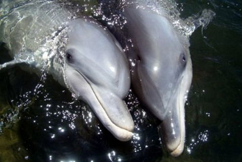 Gwynne Residential Property Trust - Accommodation Kalgoorlie 5