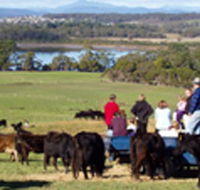 Bonny Brae - Accommodation Kalgoorlie