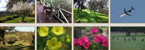 Moondyne Country Convention Centre - Accommodation Kalgoorlie 2