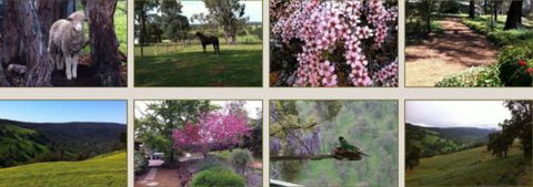 Moondyne Country Convention Centre - Accommodation Kalgoorlie 3