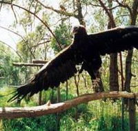 Curlew Hill Sanctuary - Accommodation Kalgoorlie