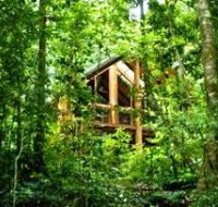 Fur'N'Feathers Rainforest Tree Houses - Accommodation Kalgoorlie