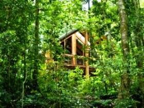Fur'N'Feathers Rainforest Tree Houses - Accommodation Kalgoorlie 0