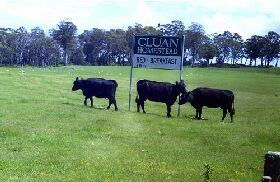 Cluan Homestead - Accommodation Kalgoorlie 0
