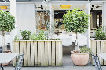 Coogee Bay Hotel - Boutique - Accommodation Kalgoorlie 73