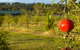 Talga Estate - thumb 25